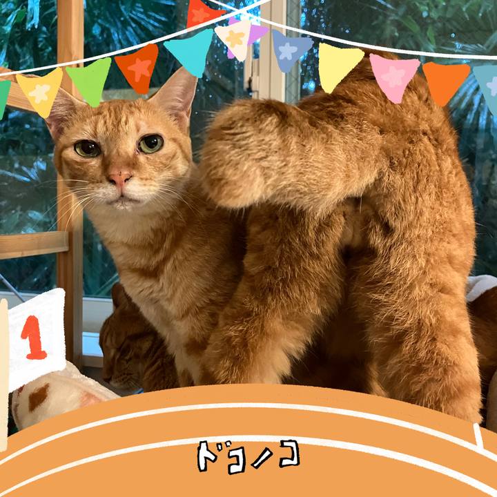 3b093221 aec5 4a98 ab9d 1256048c48c7 1762084923871