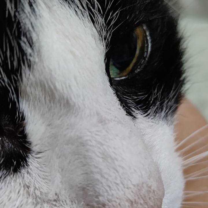 3b093691 cda6 4c7b a715 91a9f84d38d0 1627719274333