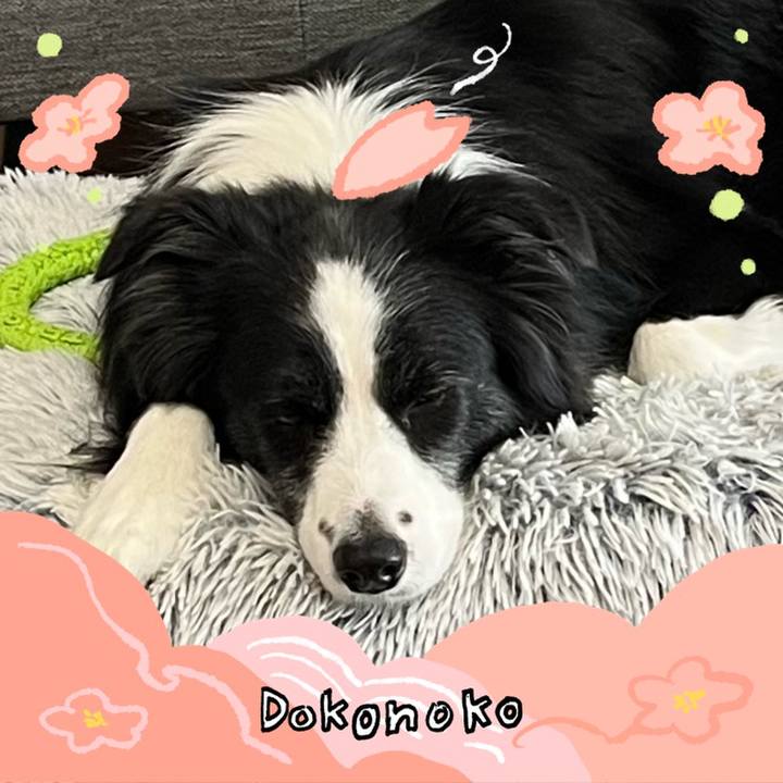 3b094140 0d75 4058 9366 442d9b661f87 1775222375821