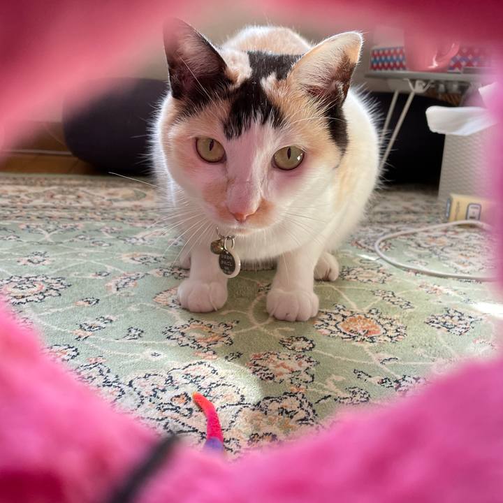 3b095c99 0a1d 4aa4 8bd9 bc7e68656f10 1745884583021