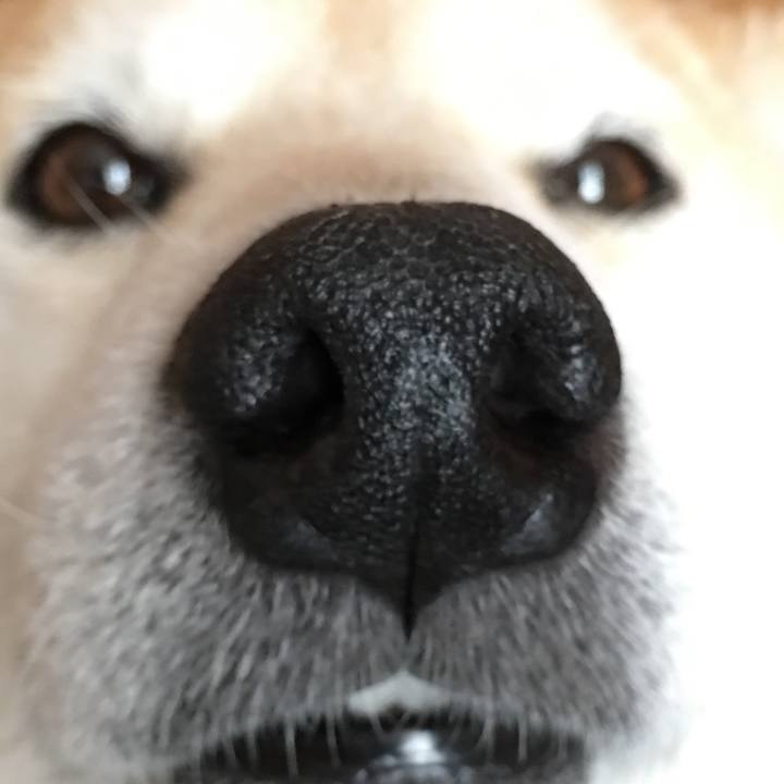 3b097c86 b633 47c4 b7de 65257330a64f 1524401824020