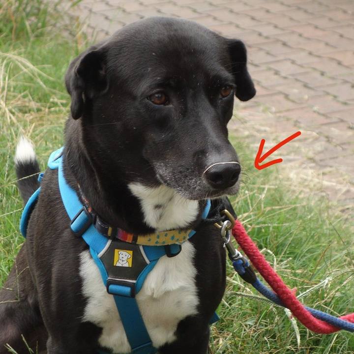 3b097dea f7b4 4e89 bcf2 a391c01003e9 1632961474038