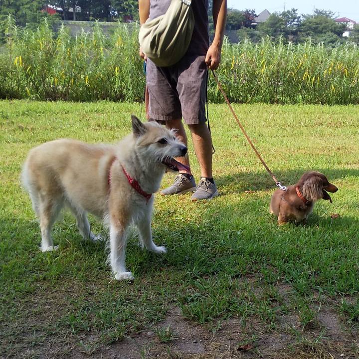 3b09a9d6 deae 469e 8593 be1b7ece9803 1564880998718