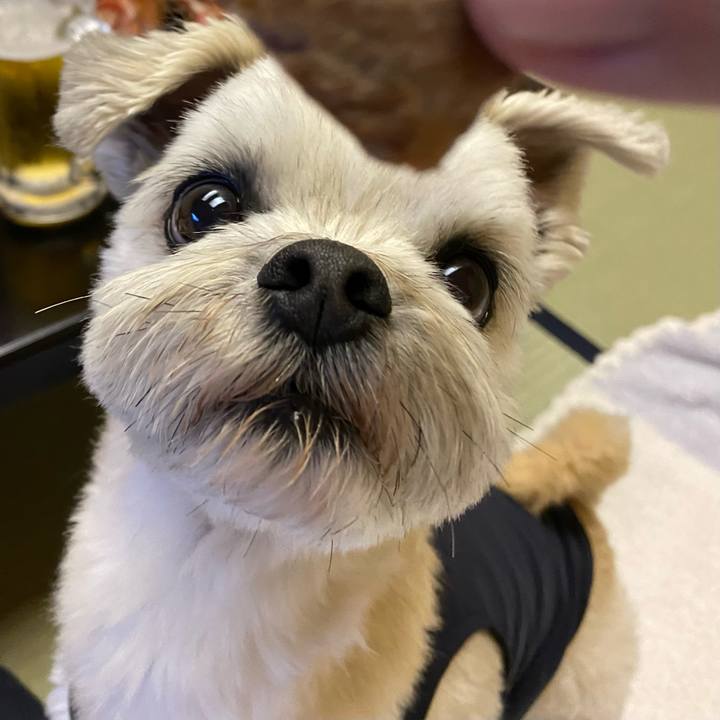 3b09ac3c 31ed 4db8 a6ac 34365abcefdc 1654256123151