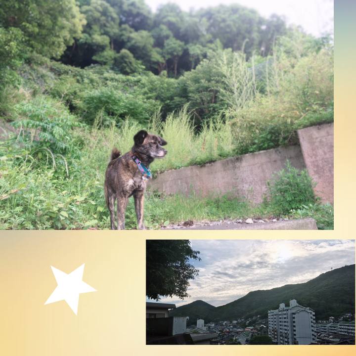 3b09b2f7 c20f 4275 aa5d 924ca5f00fbf 1559033177833