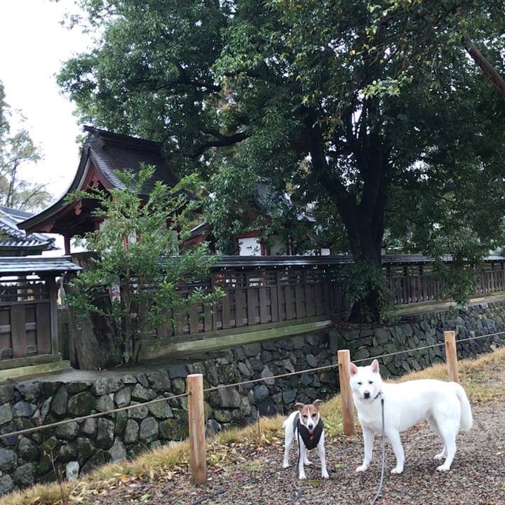 3b09bb02 a035 47d2 8552 1b82c0702464 1515377557362