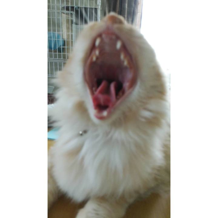 3b09e384 c464 475f b26f 3599ee62a4a0 1624006180910