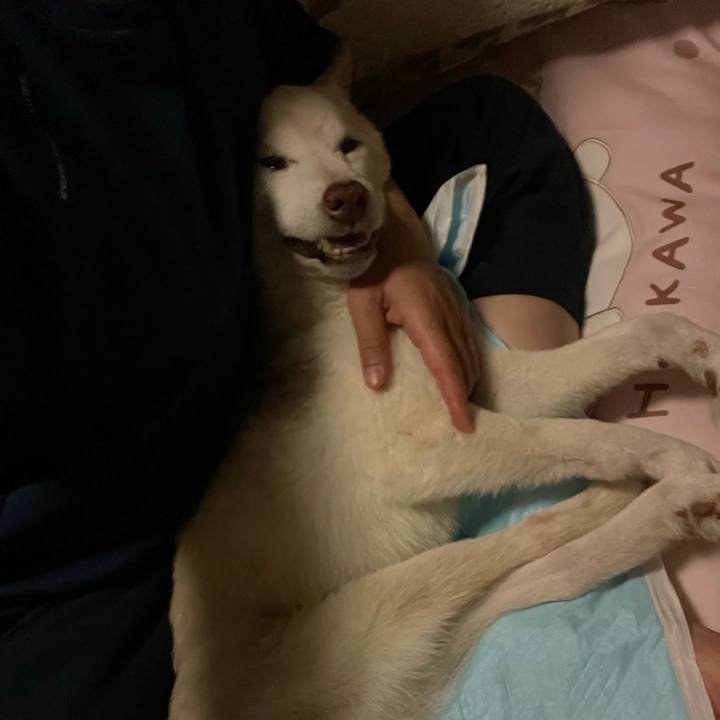 3b09e80a 3e5d 4aa2 97cc ddaac5f3fc3e 1698088397134