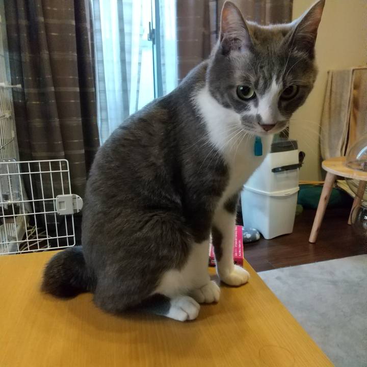 3b0a1863 8d65 4b29 96b0 7e5f03fca456 1617315158090