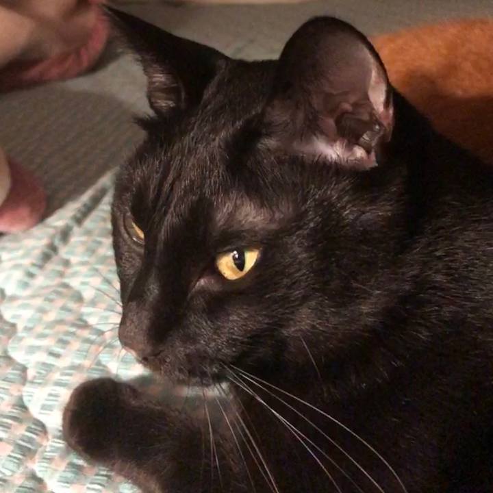 3b0a2f92 fc5c 43f2 b406 240cd180d660 1659955411096