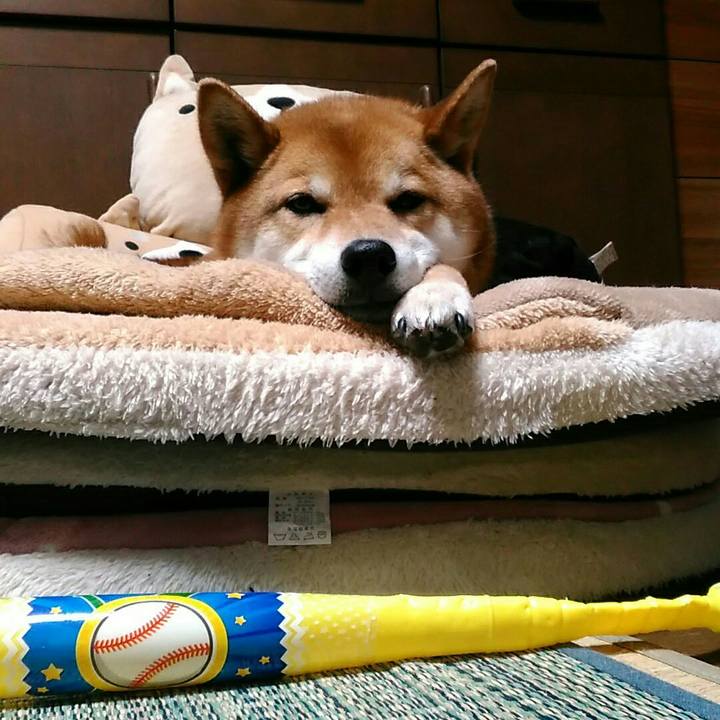 3b0a3811 b06c 472b 9deb 53d7de4ae3c4 1558089926901