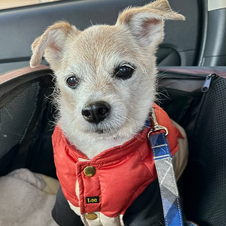 3b0a40b5 f35a 47bc a4b0 a2b52a4c45c6 1769240432108