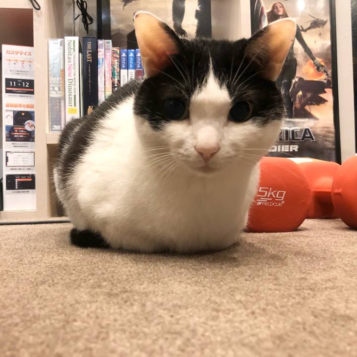 3b0a4161 e76c 4969 b88f 9f0611596dda 1654647537881