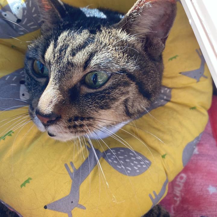 3b0a7c8a 4eb7 48a1 be29 5311c2446335 1638578920244