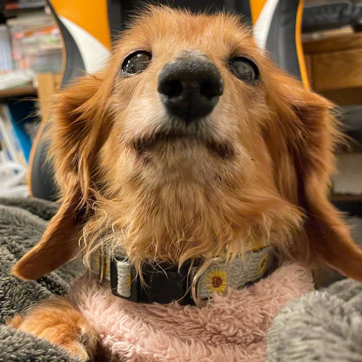 3b0a9299 83e6 4e21 bba4 291fb84bb91f 1645875844823