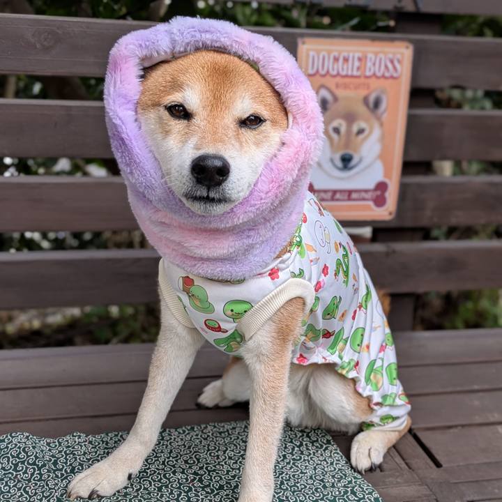 3b0ad681 29d8 4a0c 9c83 837abfc7343c 1736084467923