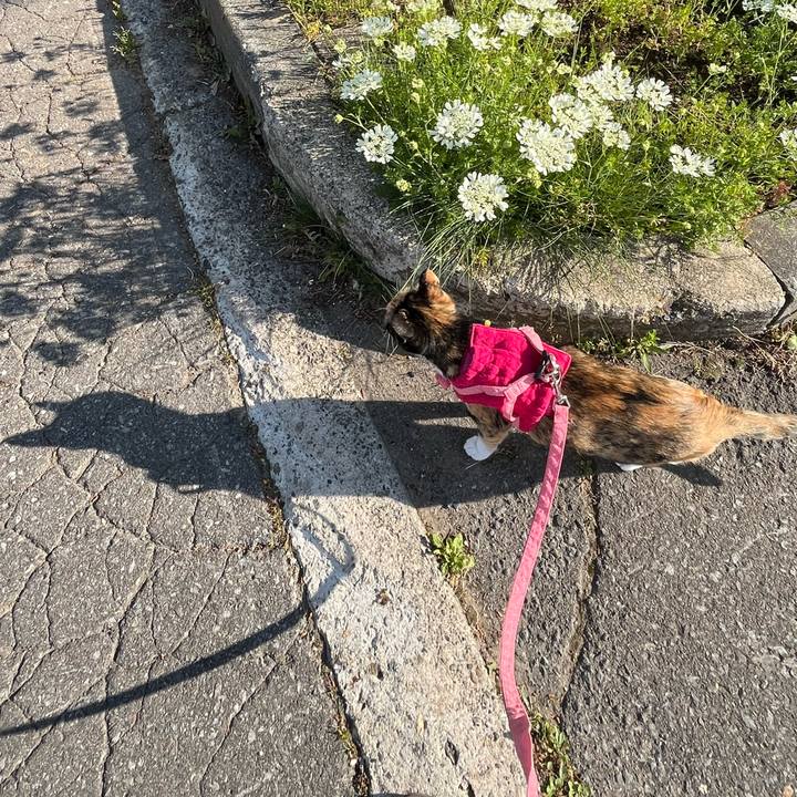 3b0ae2b0 a9cb 4d36 908b 3e4ee76278b5 1653473434538