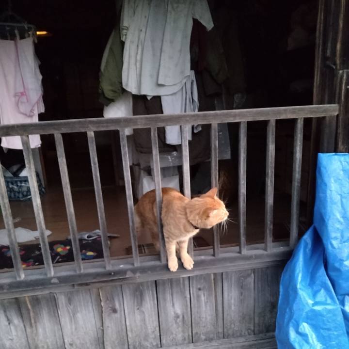 3b0b0906 8458 4410 9477 808a1f44a4d0 1664745047956