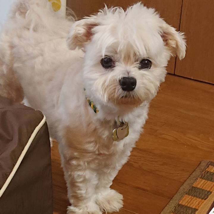 3b0b1246 7de4 43c4 8579 8638fa8c10d7 1598949888200