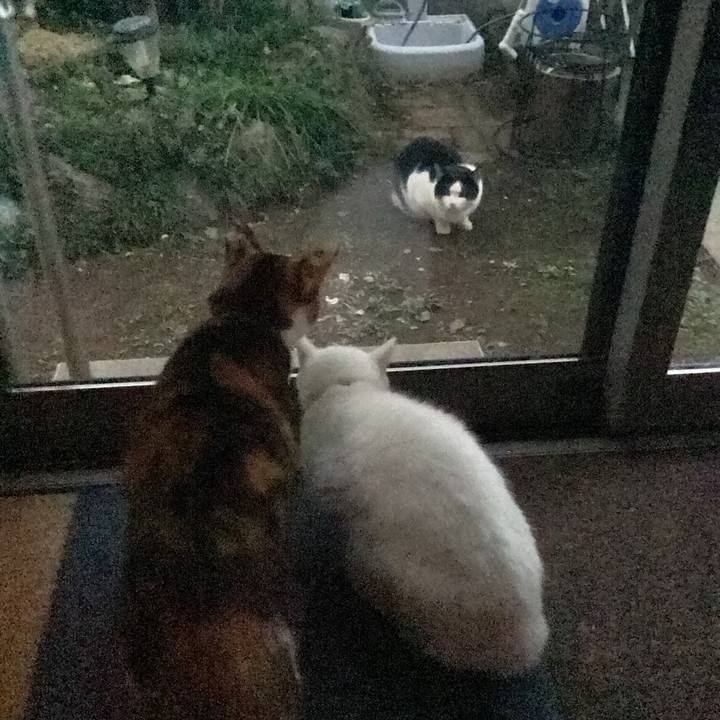 3b0b1f49 b612 4f41 b610 dc82514ff59f 1671922736419