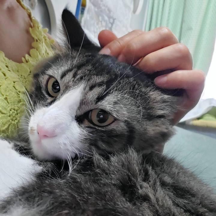 3b0b6974 4b1e 47cb a5e1 ee93013575d4 1693387906930