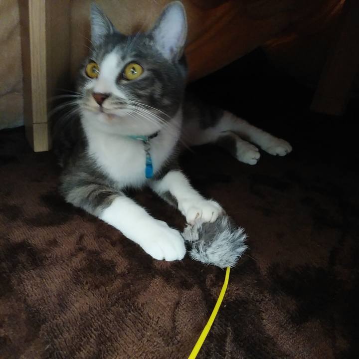 3b0b761a d5c6 4e4d 9c65 f371a81dc918 1583199211080