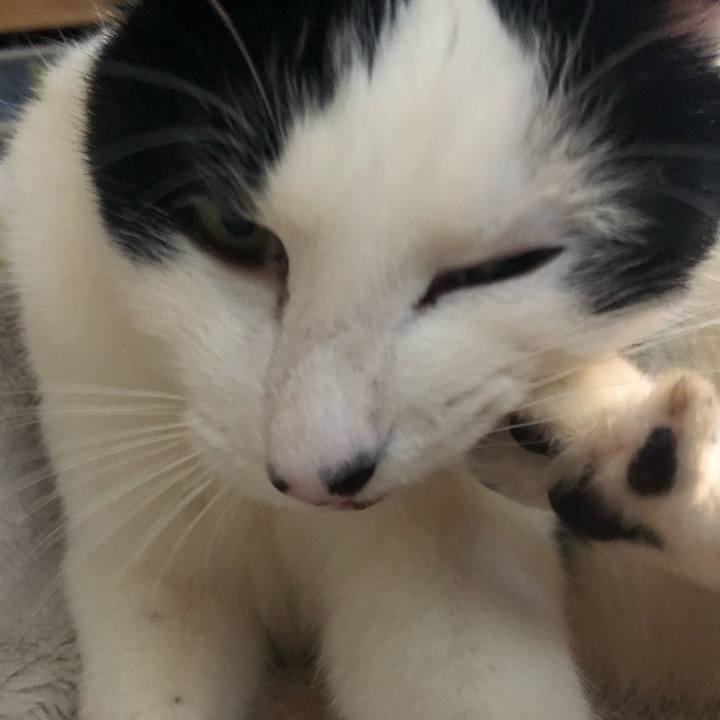 3b0b81ee ea4f 4606 9d10 0b2dce3d56d4 1552722229258