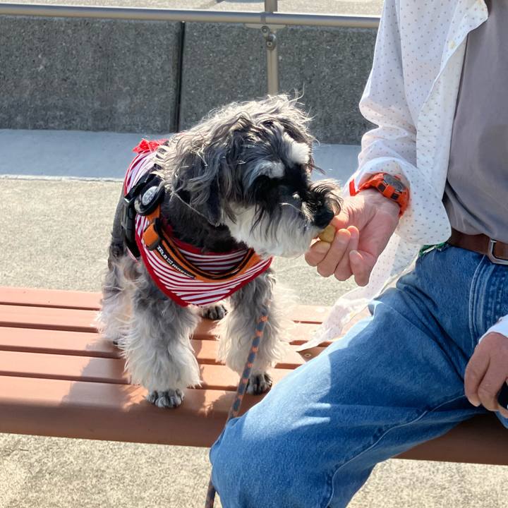 3b0bc678 06cf 4459 af51 b6379d58ef9c 1748697960870