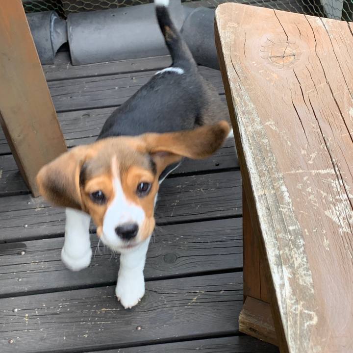 3b0bec29 1d65 4ee9 af9f f87b3fee4d20 1617791715392