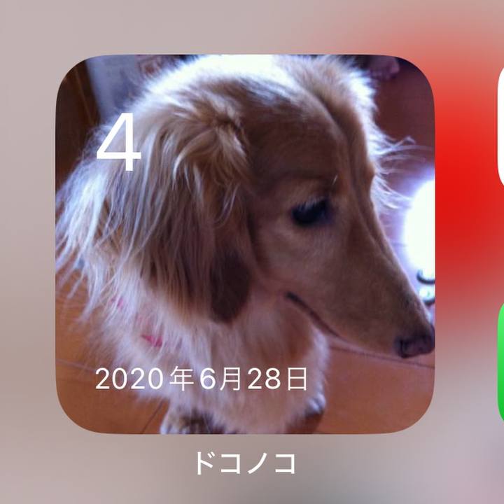 3b0becdc 3df1 4304 8999 ef9f8c3b2771 1720097593951