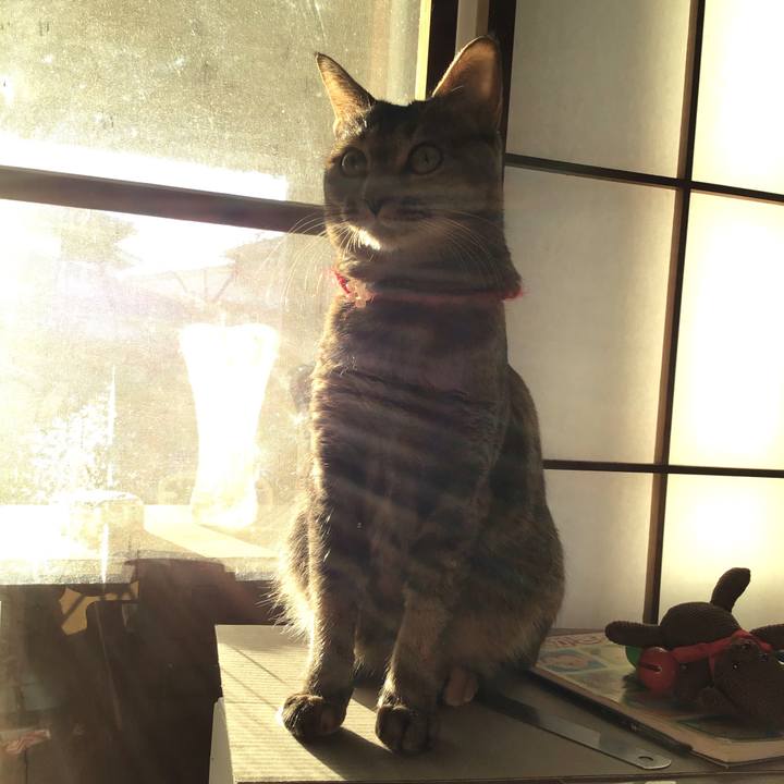 3b0c0299 abb4 42cc 870d 15827ed54691 1613728670209