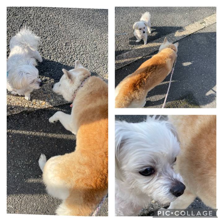 3b0c060d 25c3 47c3 8510 d42d9381b43a 1712065148202