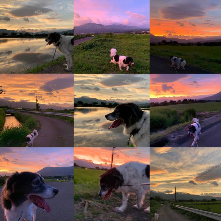 3b0c69ba 805f 4216 af98 6f7263c8d9d1 1565931851836