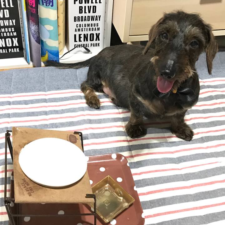 3b0c8e26 b391 404f a2d1 f8a97e1ada86 1559660221049