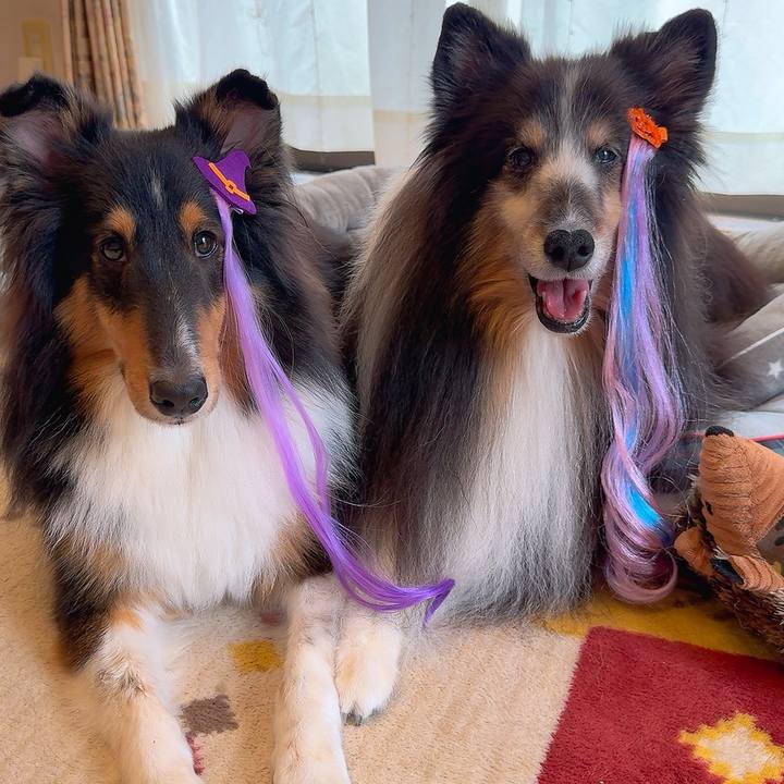 3b0c8fe6 1993 4e50 bd83 aa42b544a010 1761494009658