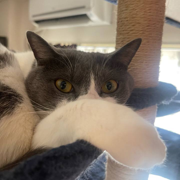 3b0c93e8 6d63 4342 a2a2 45ea876c364a 1678750026806