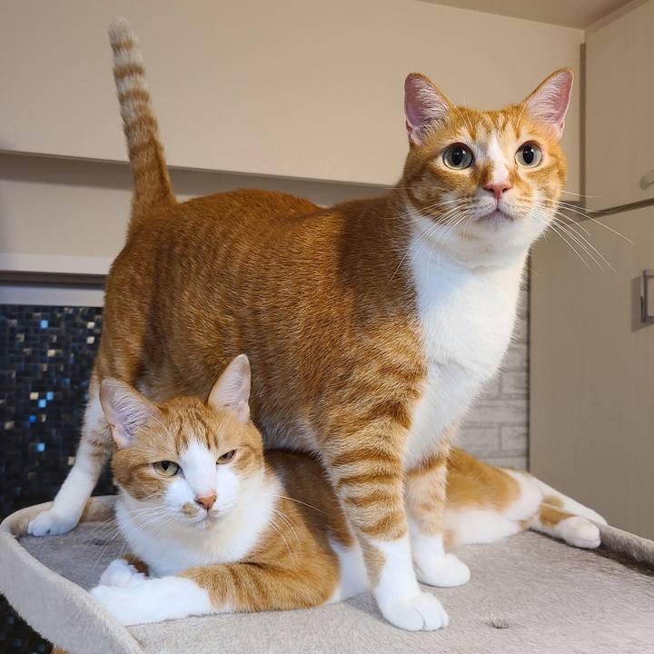 3b0ca42a 5b7e 4fae 88c8 76aa0382fa9e 1633783565566