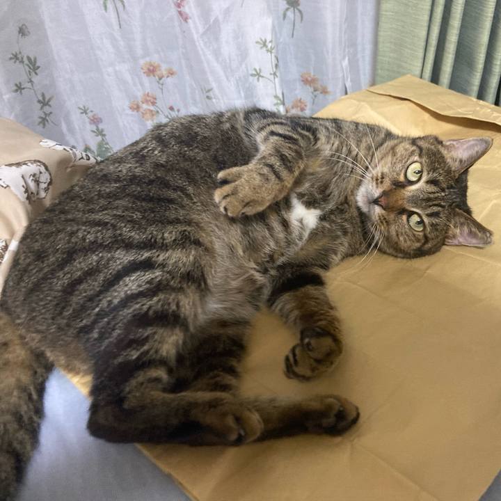 3b0cbc71 cc51 4d63 8046 b44e1b729e53 1724493641467