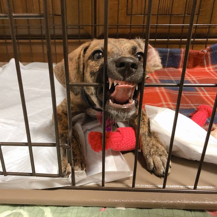 3b0ce2ea 8f0f 4aa7 82d2 a2fc351ae07b 1567865612049