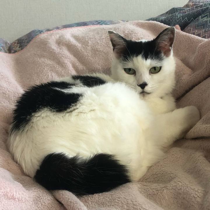 3b0d0157 83f8 4efe 9375 540d432e364d 1572823220536