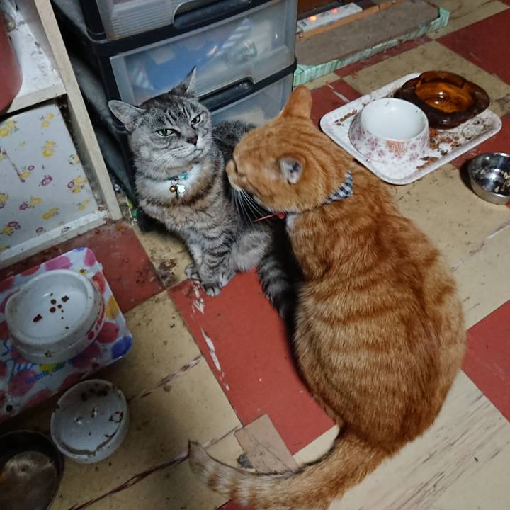 3b0d08af 5983 4d06 bc55 cafb093ef82d 1571255644189