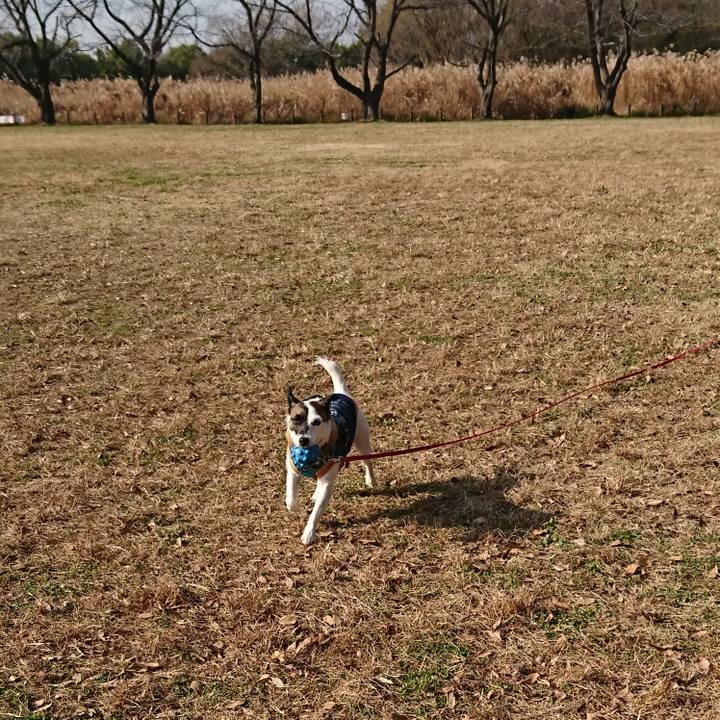 3b0d0af1 95cb 48e6 84cf df82addf552d 1607653843351