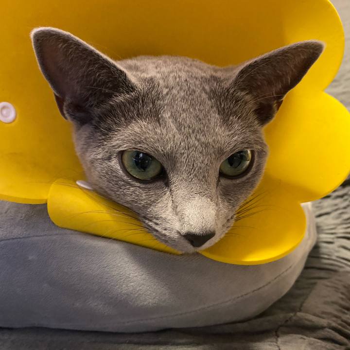 3b0d28a9 a5ae 4434 ba61 24d26d493a71 1631058077045