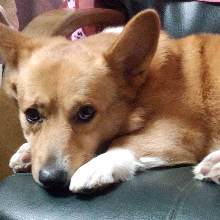 3b0d29e3 df54 4da7 9669 033c00b00952 1588214213718