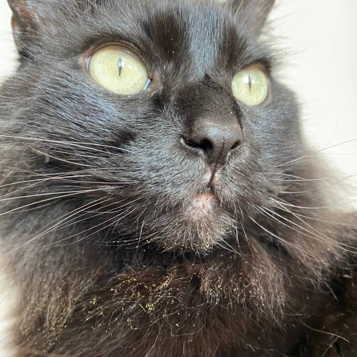 3b0d5ec4 1fc0 48b7 81dd 5426d8987fa9 1583122142299