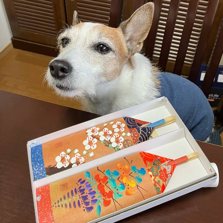 3b0d6f93 9c07 473c a99a 2ddaaac3ca32 1677799580084