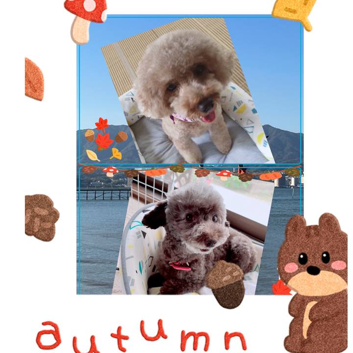 3b0d8d5c 393f 47cb b9ab d846809f9e1c 1695623105105