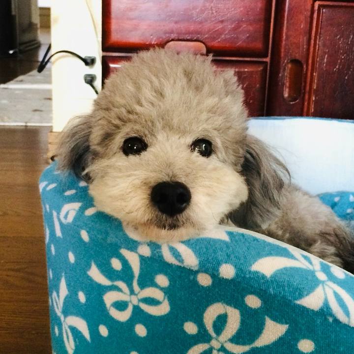 3b0db330 08e4 4649 b3b6 da893553b19d 1773017268663