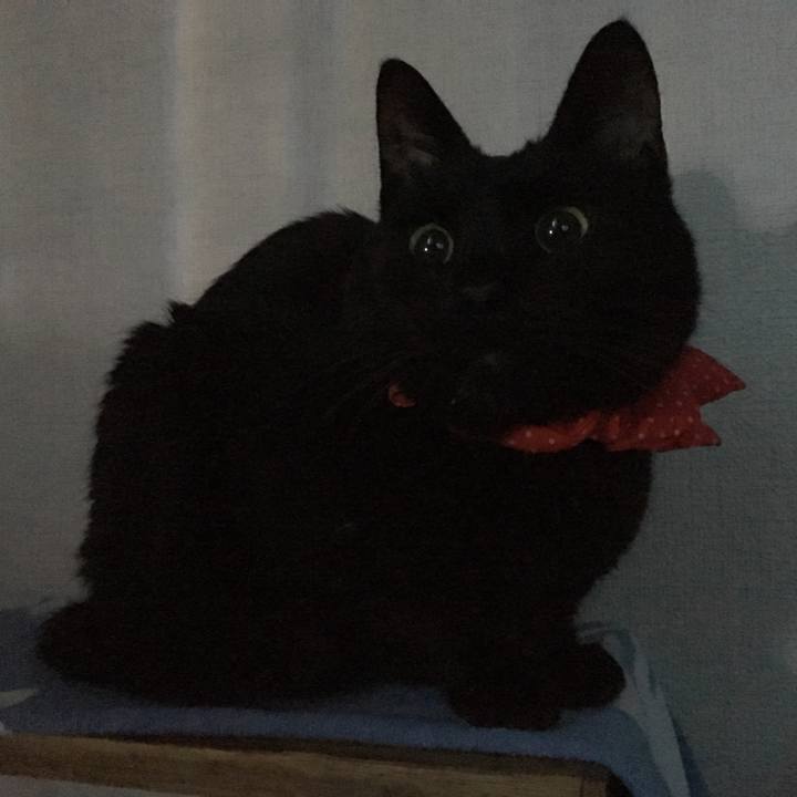 3b0dc5ce 9011 497d 9175 9acdadb25d32 1553115138079