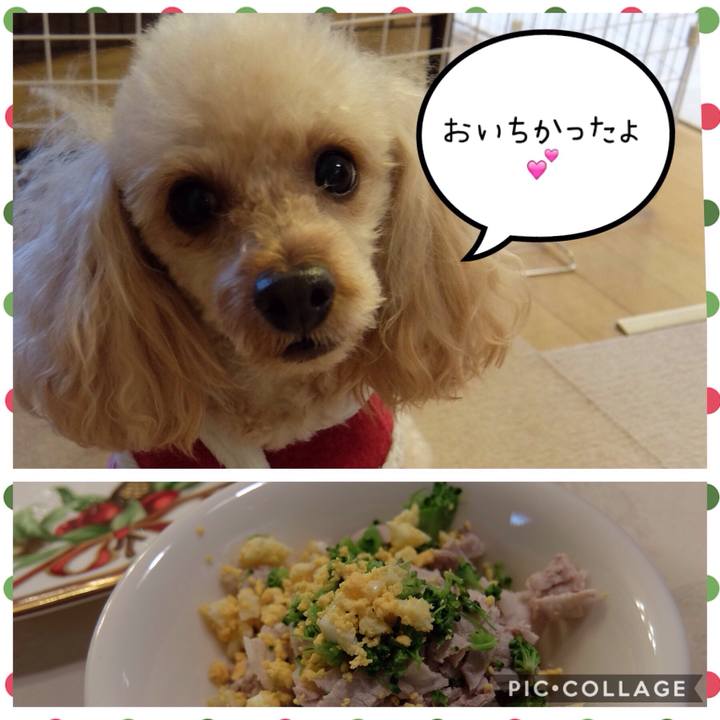 3b0e08de a4b0 4dfb b272 57cbb9e8bc3d 1577229915805